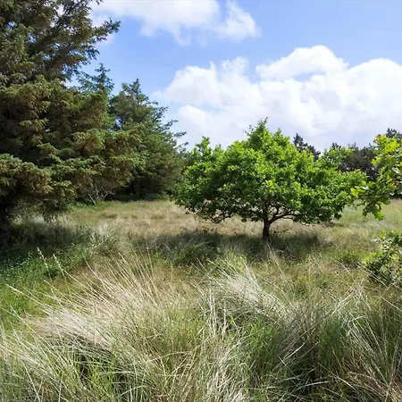 Bv149-blavand-reginevej-1